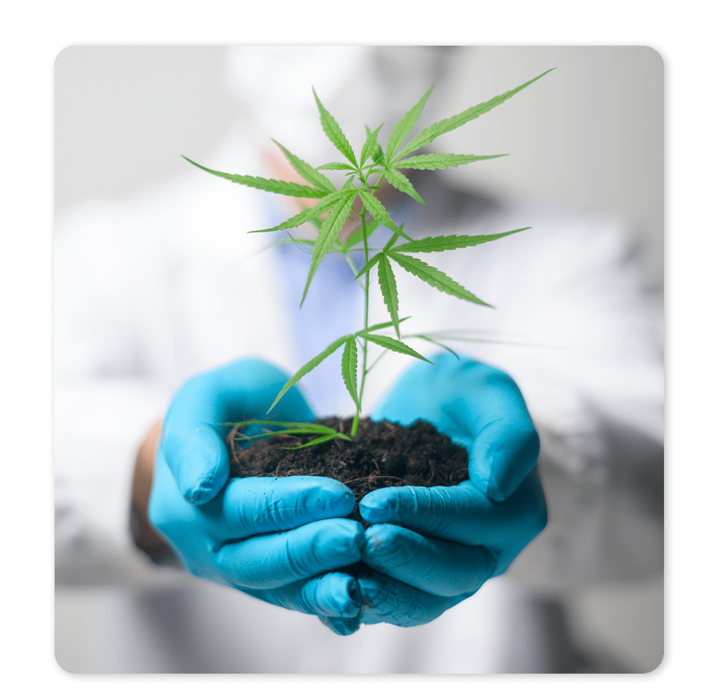 Sustainable Business Philosophy