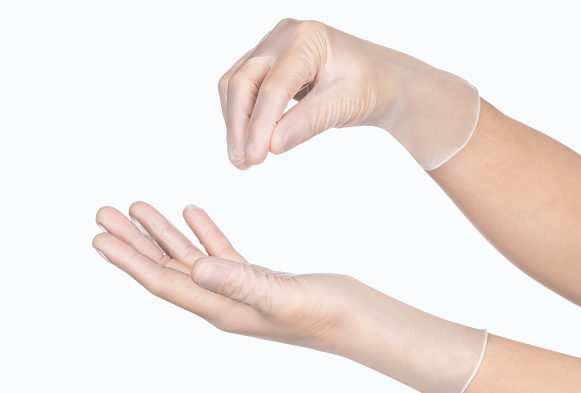 Elite Vinyl Disposable Gloves